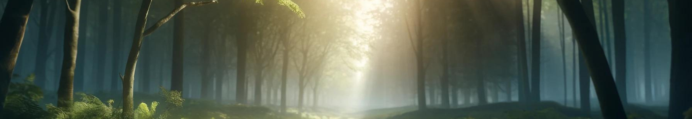 Profilbanner Rotem Hess
